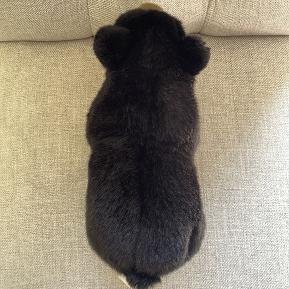 Webkinz Signature Black Bear - Picture 6 of 9